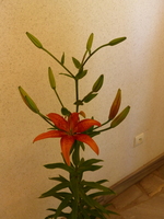 Foto: Dr. Peter Müller